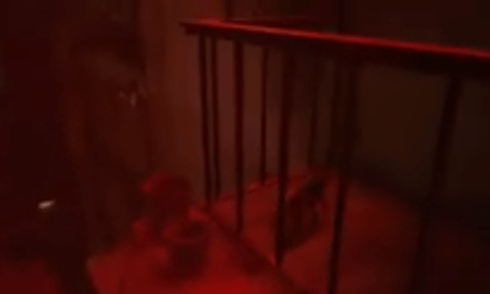 Stray: How to Browse TV Channels (Tele a Chat Trophy).